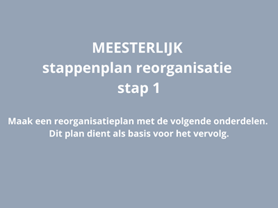 MEESTERLIJK stappenplan reorganisatie - stap 1
