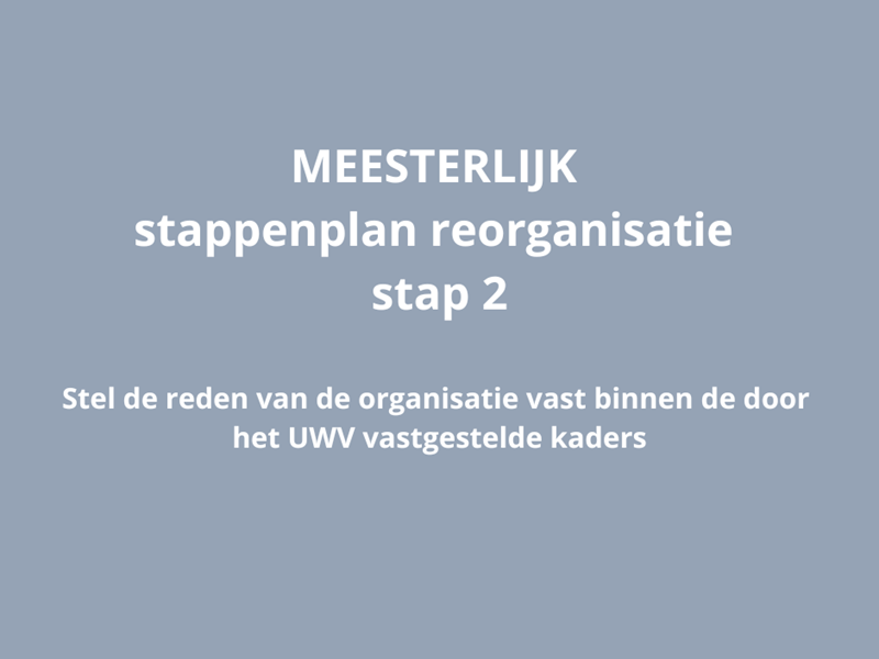 MEESTERLIJK stappenplan reorganisatie - stap 2