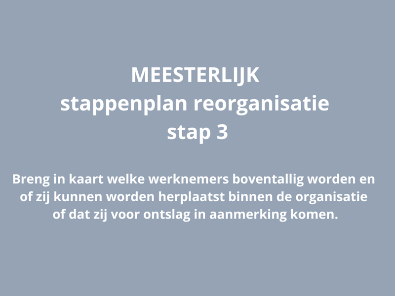 MEESTERLIJK stappenplan reorganisatie - stap 3