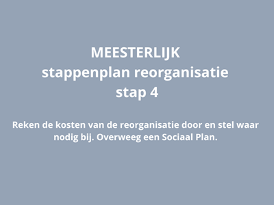 MEESTERLIJK stappenplan reorganisatie - stap 4