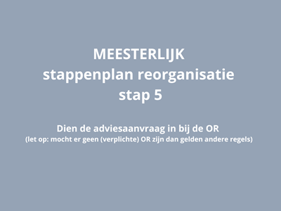 MEESTERLIJK stappenplan reorganisatie - stap 5