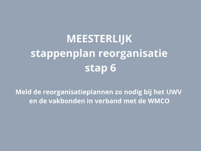 MEESTERLIJK stappenplan reorganisatie - stap 6