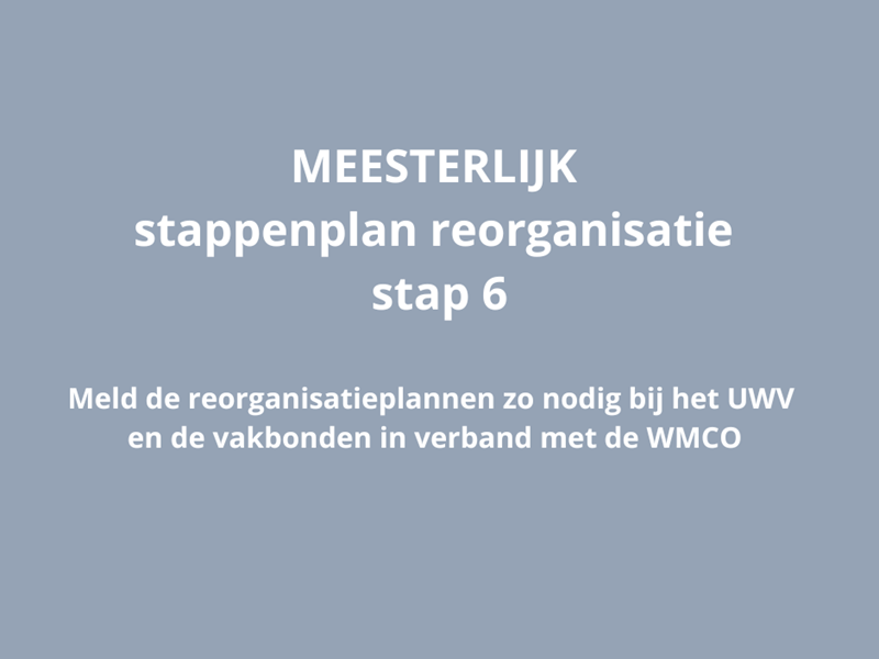 MEESTERLIJK stappenplan reorganisatie - stap 6