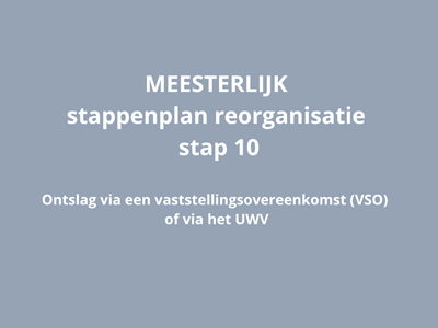 MEESTERLIJK stappenplan reorganisatie - stap 10